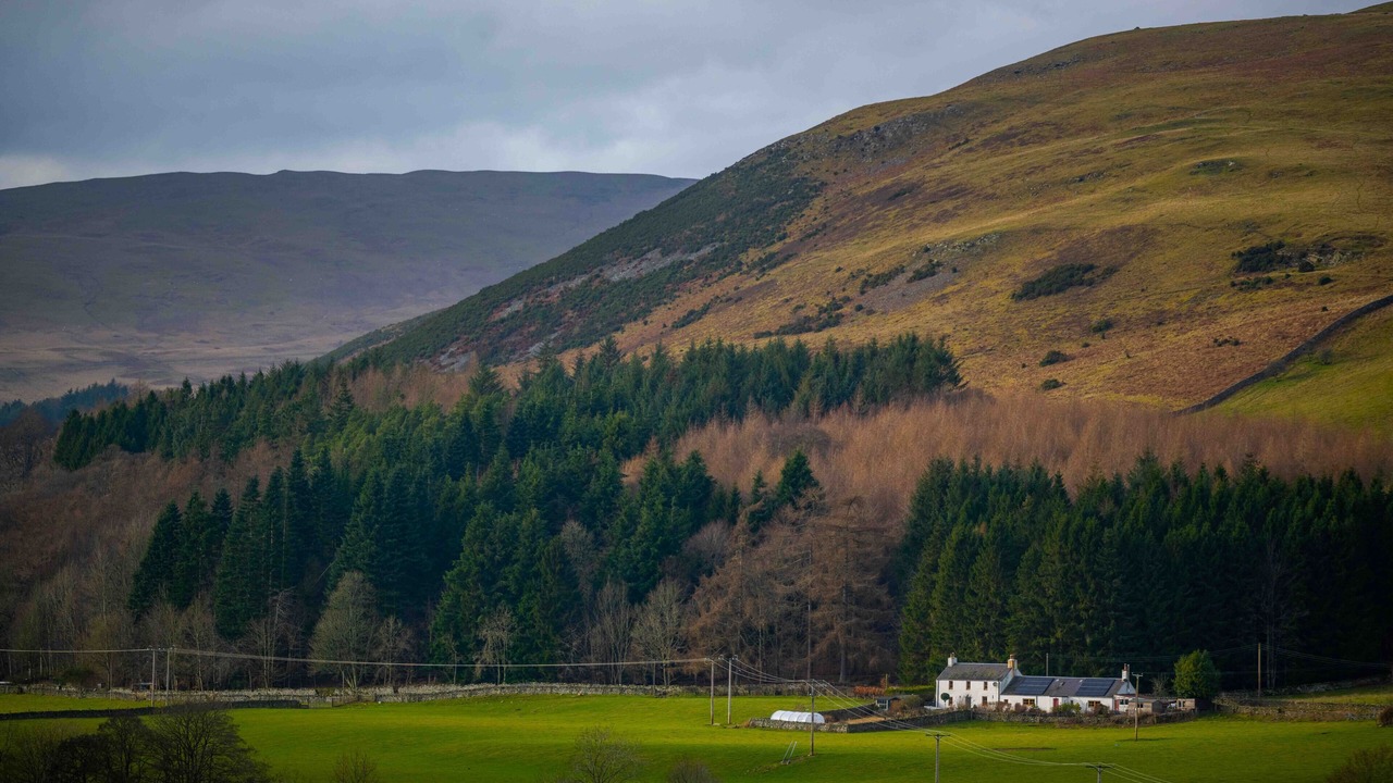 Photo of Outdoor in Selkirk