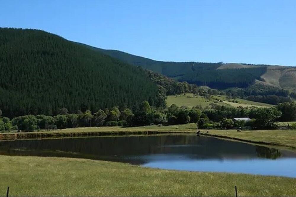 Photo of Others in Ovens