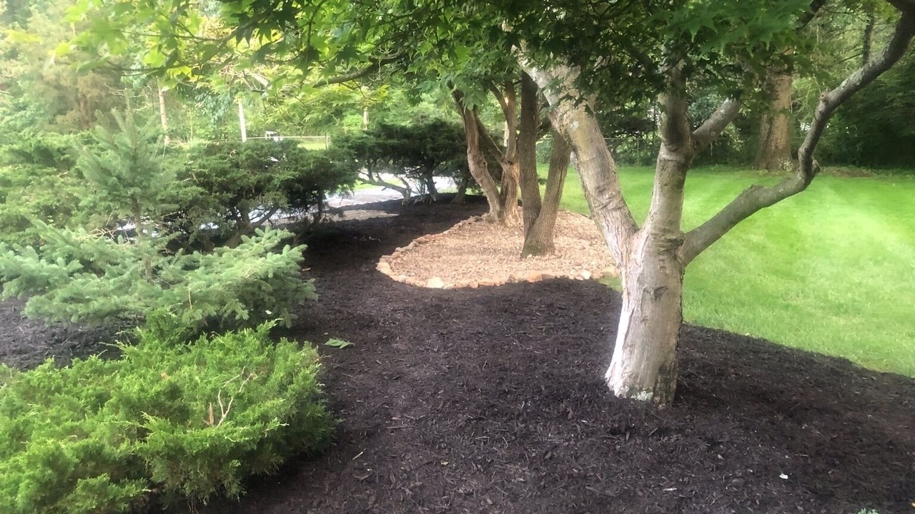 Photo of Outdoor in Amberley Village