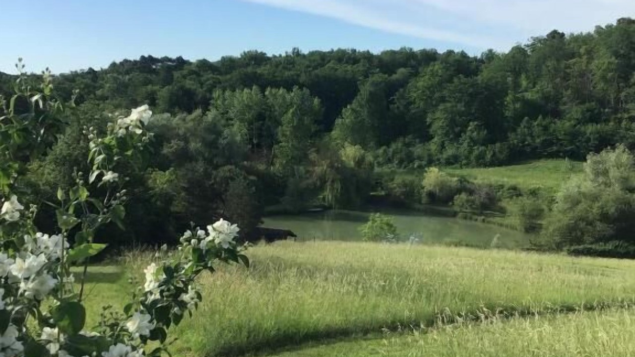 Photo of Outdoor in Veyrines-de-Domme