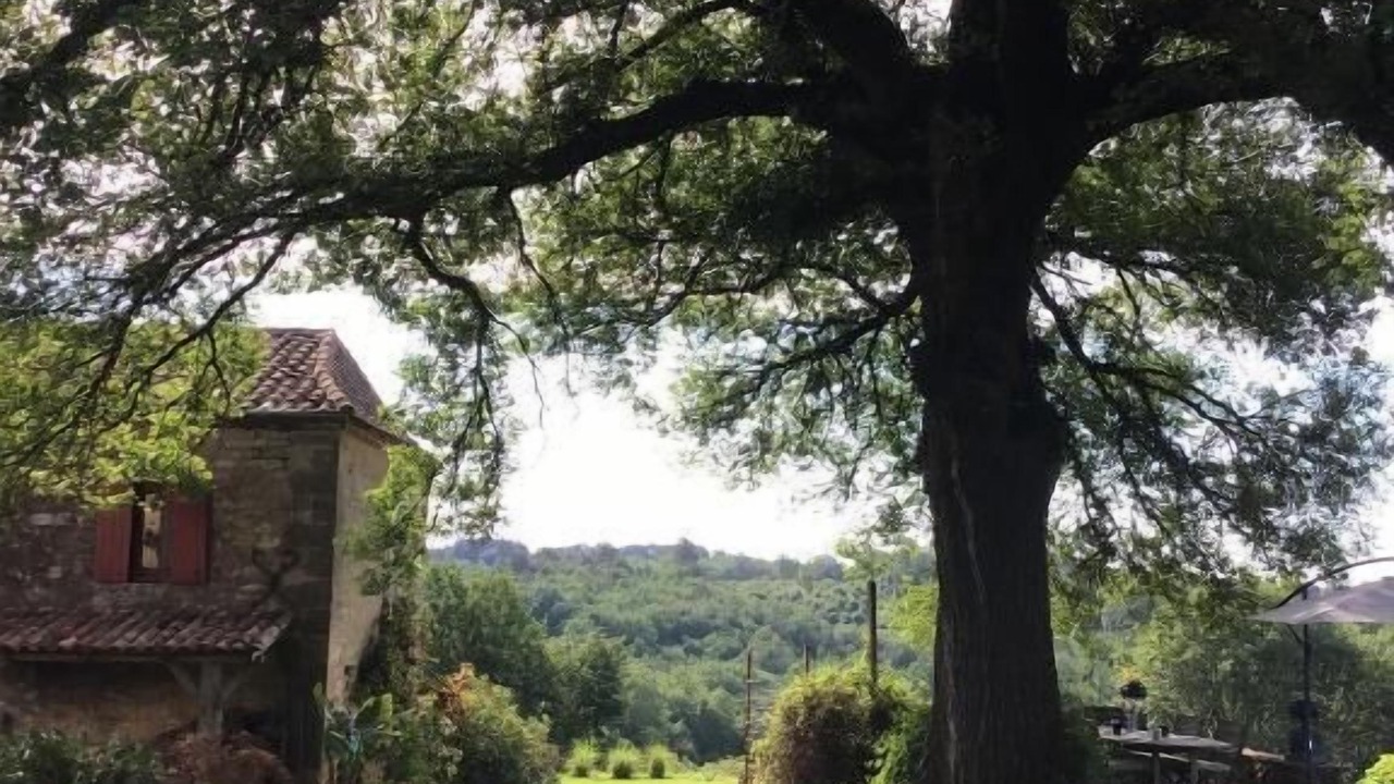 Photo of Outdoor in Veyrines-de-Domme