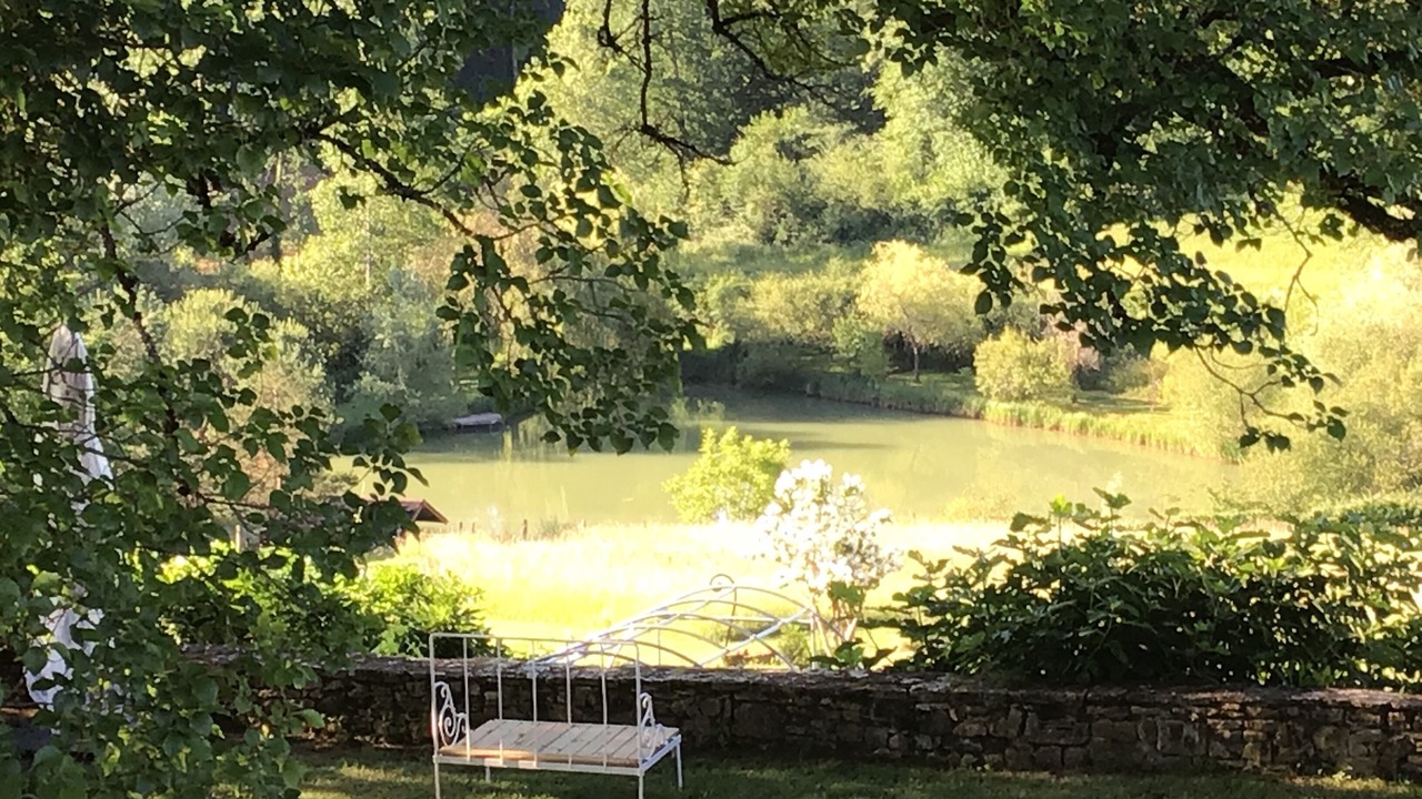 Photo of Outdoor in Veyrines-de-Domme