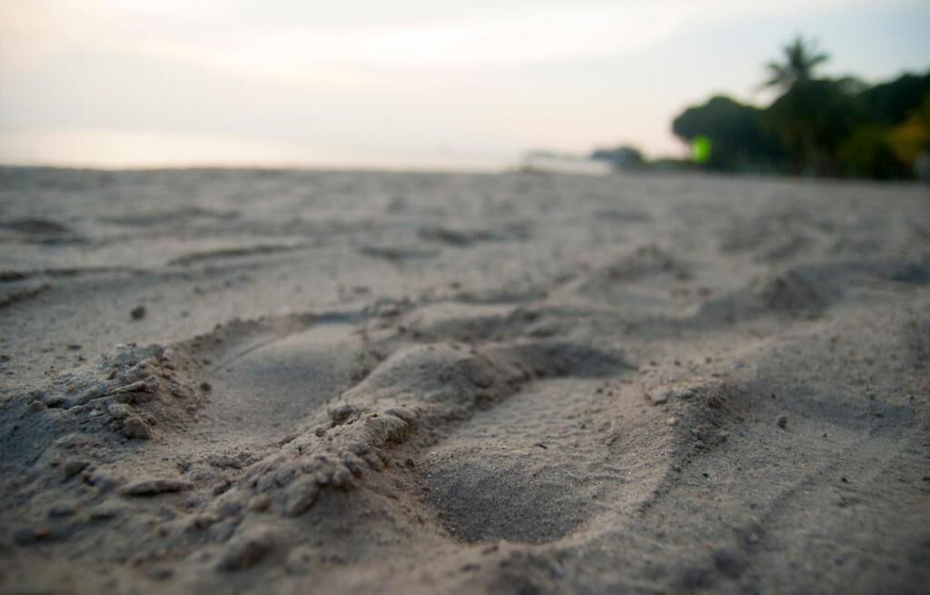 Photo of Others in Si Rusa