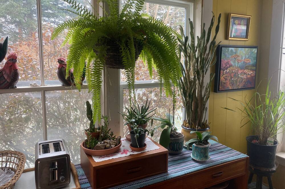 Photo of Others in Cornwallis