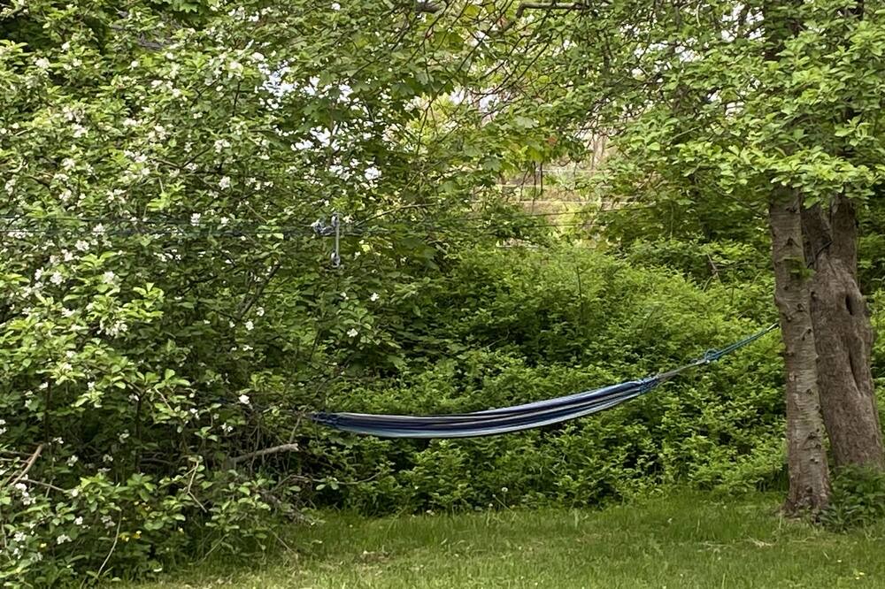 Photo of Outdoor in Cornwallis