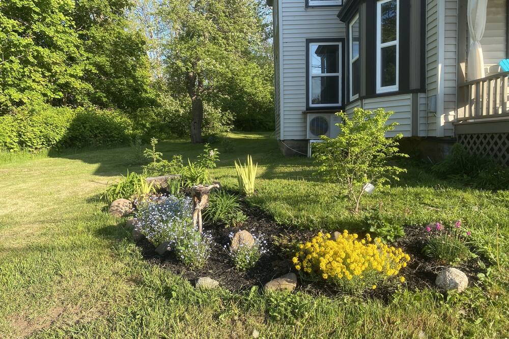 Photo of Outdoor in Cornwallis