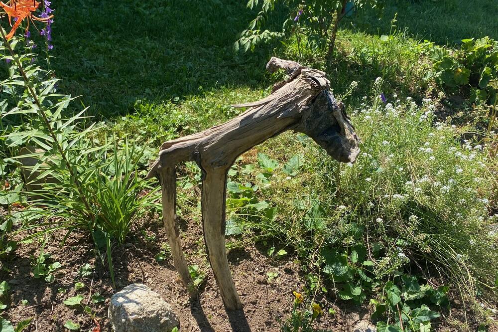 Photo of Outdoor in Cornwallis