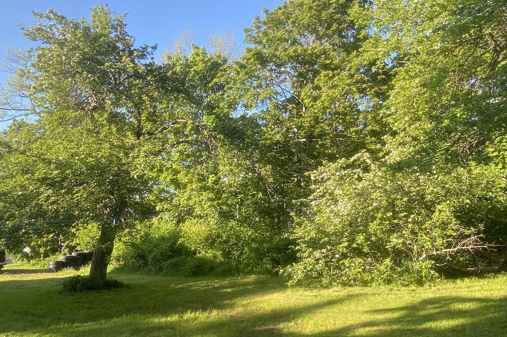 Photo of Outdoor in Cornwallis