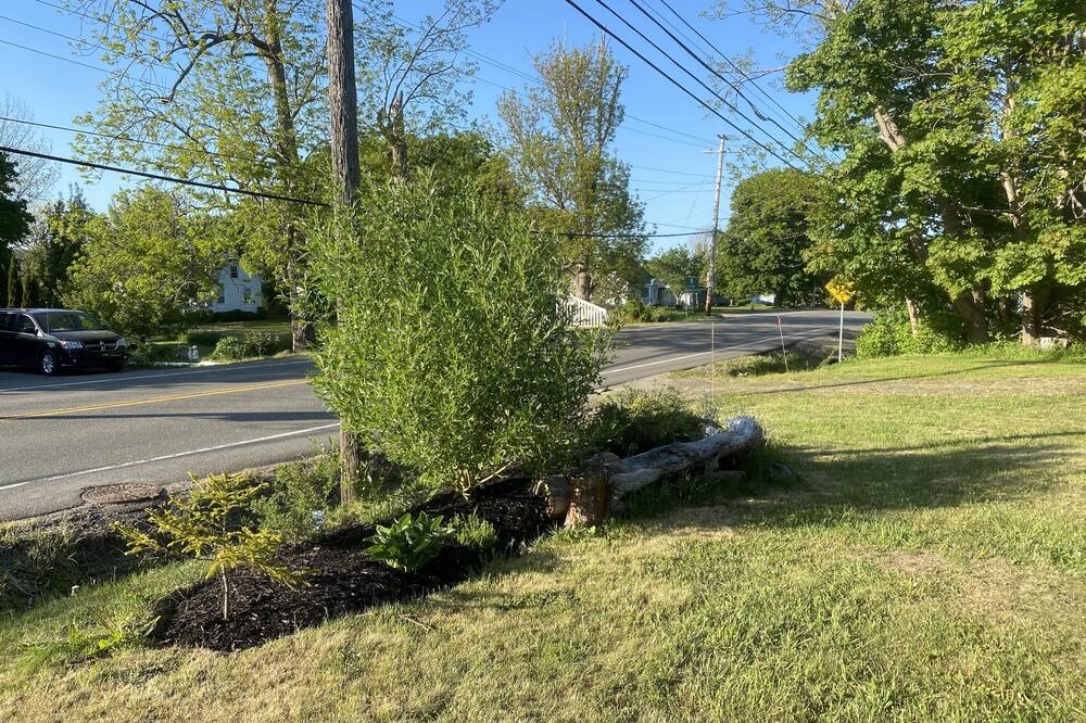 Photo of Outdoor in Cornwallis