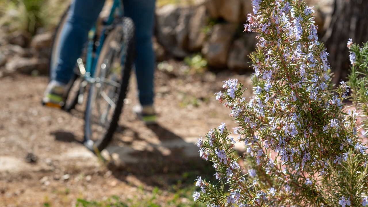 Photo of Outdoor in Orba