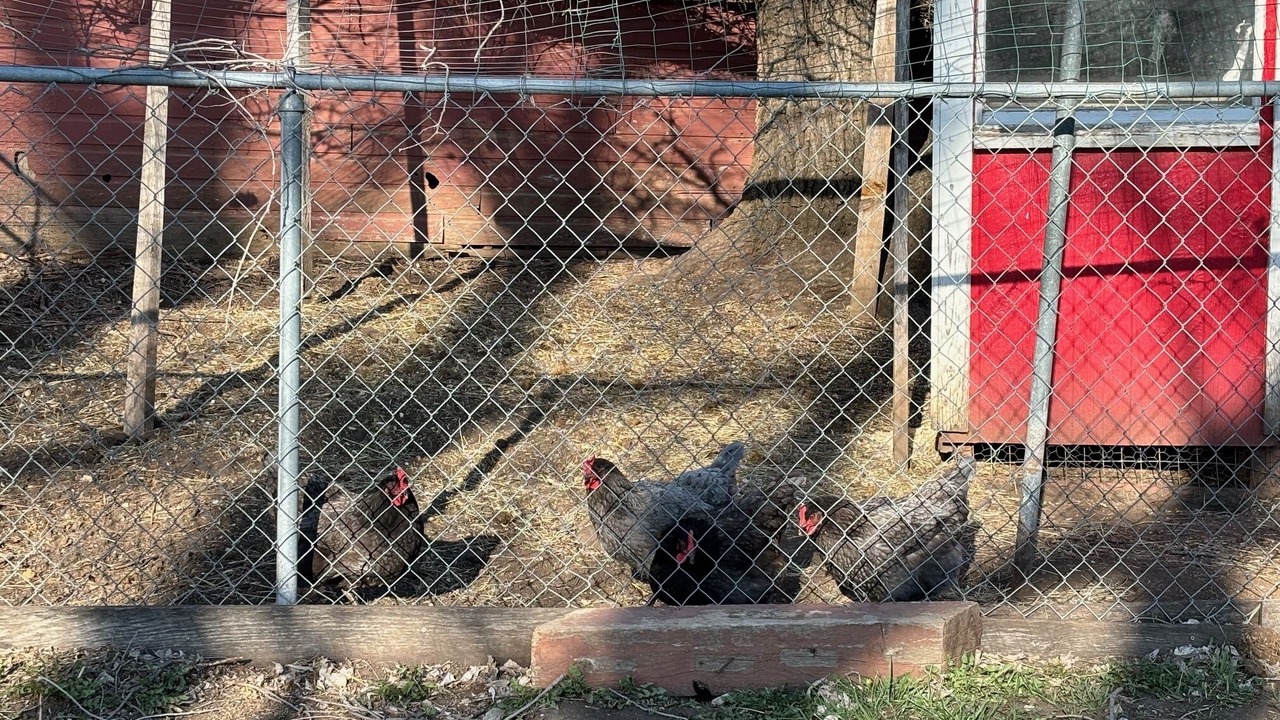 Photo of Others in Junction City