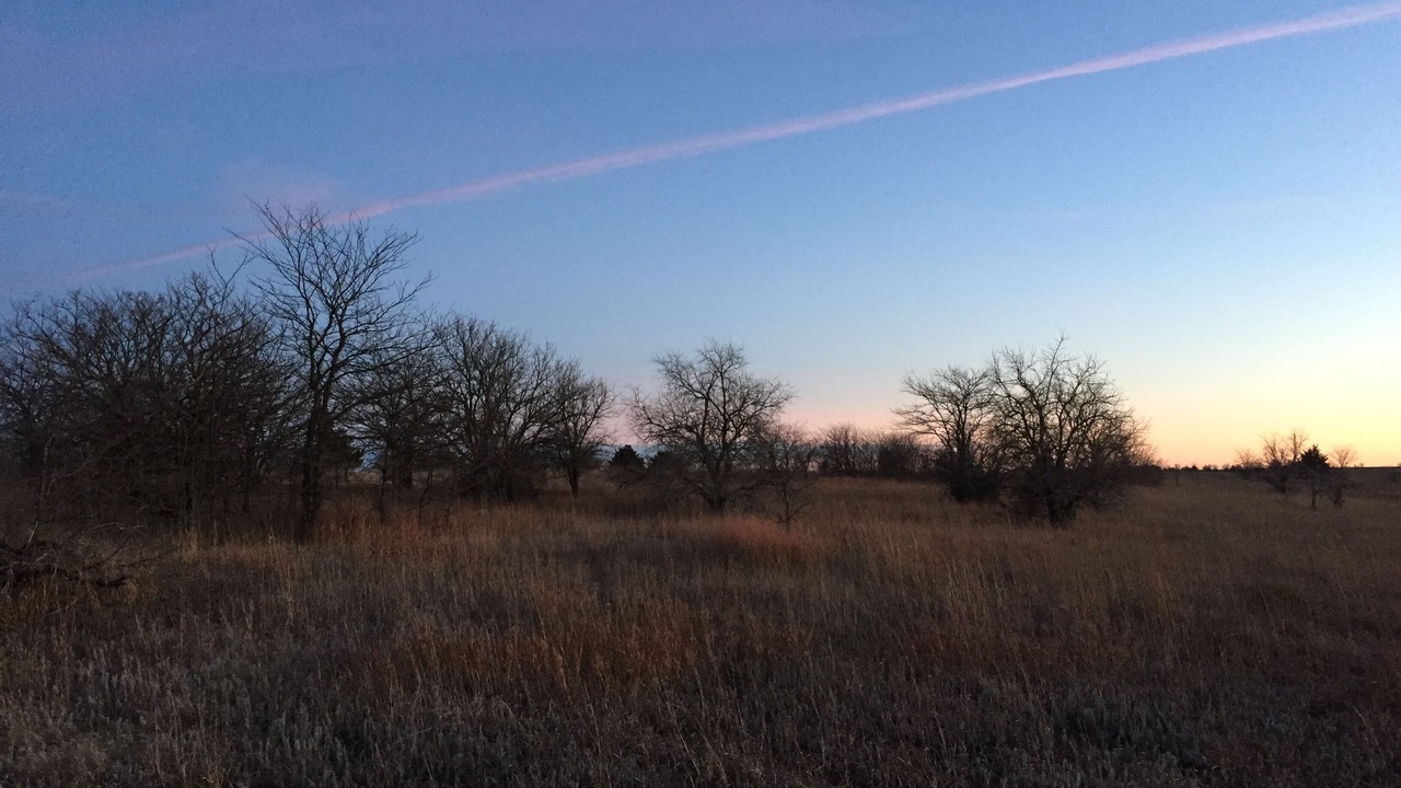 Photo of Others in Junction City