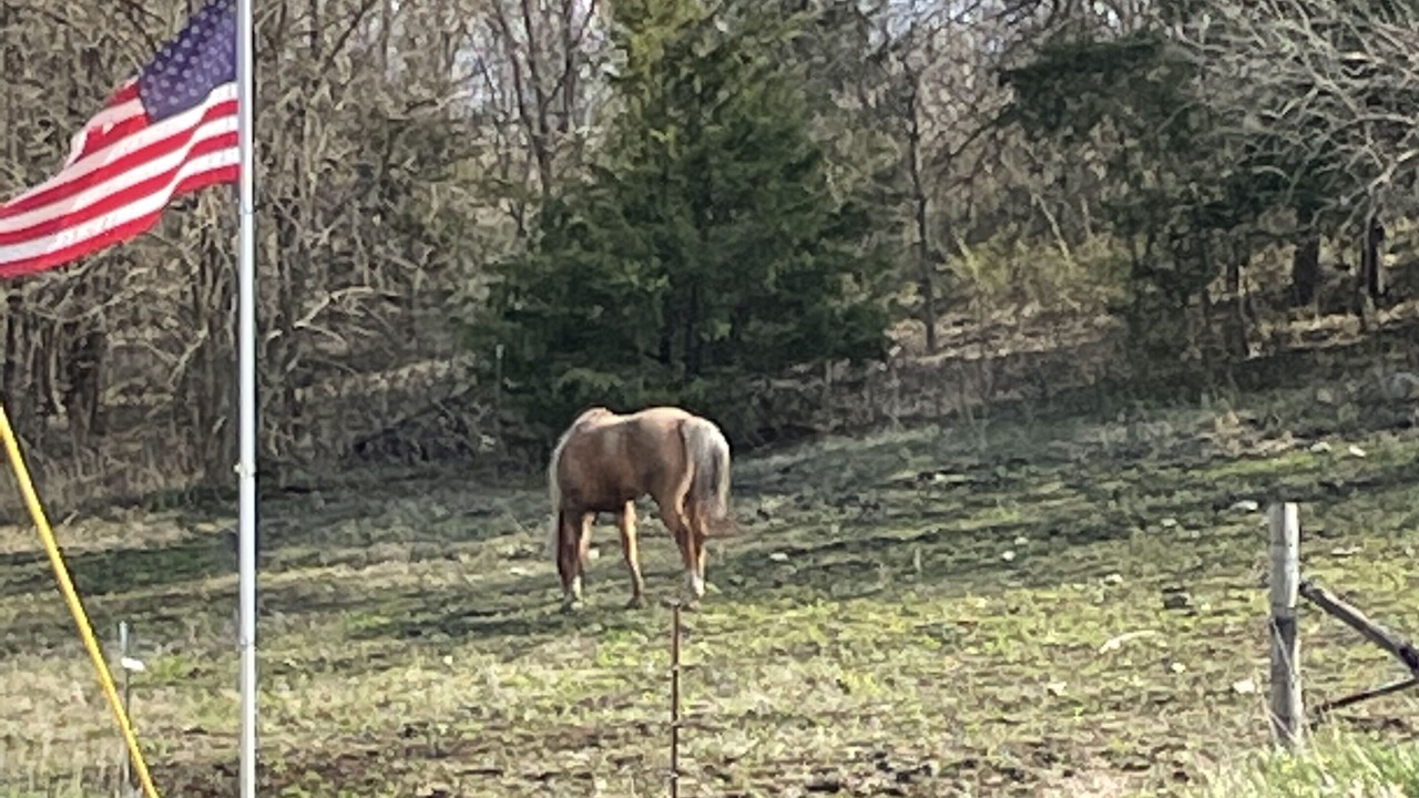 Photo of Others in Junction City