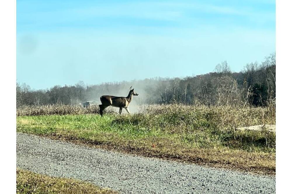 Photo of Outdoor in Culpeper