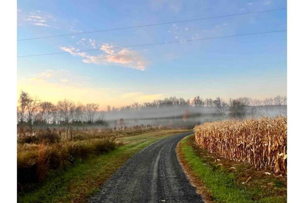 Photo of Outdoor in Culpeper