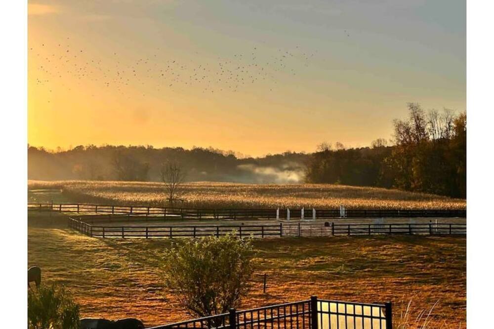 Photo of Outdoor in Culpeper
