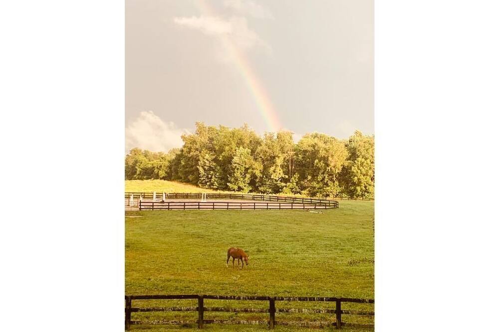 Photo of Outdoor in Culpeper