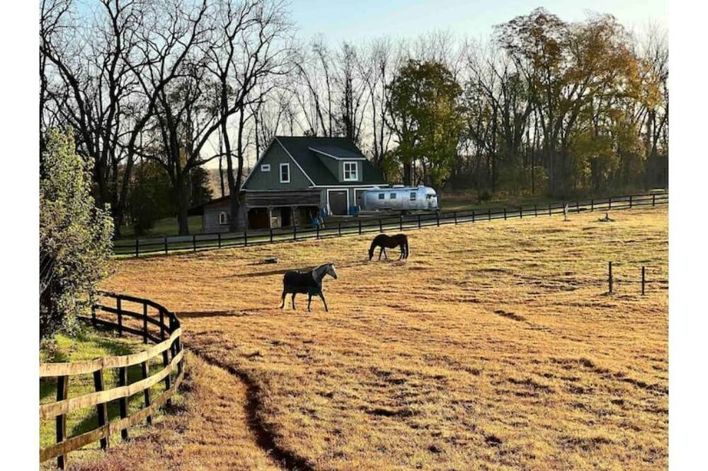 Photo of Others in Culpeper