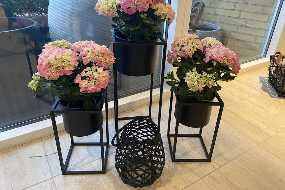 Photo of Others in Herning