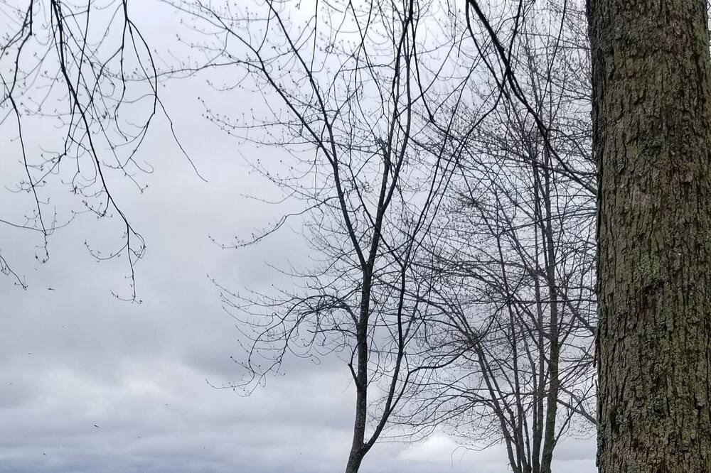 Photo of Outdoor in Bobcaygeon