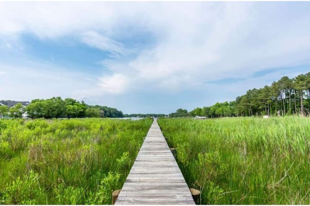 Photo of Outdoor in Chester