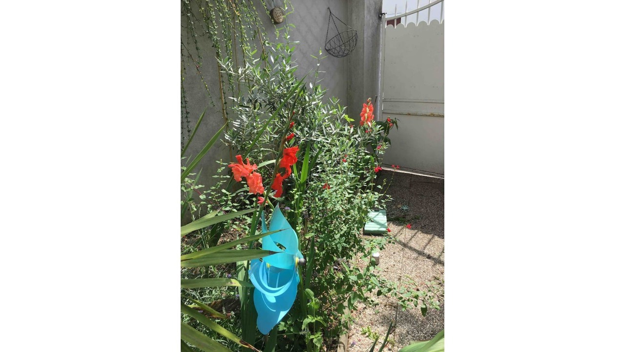 Photo of Outdoor in Vanves