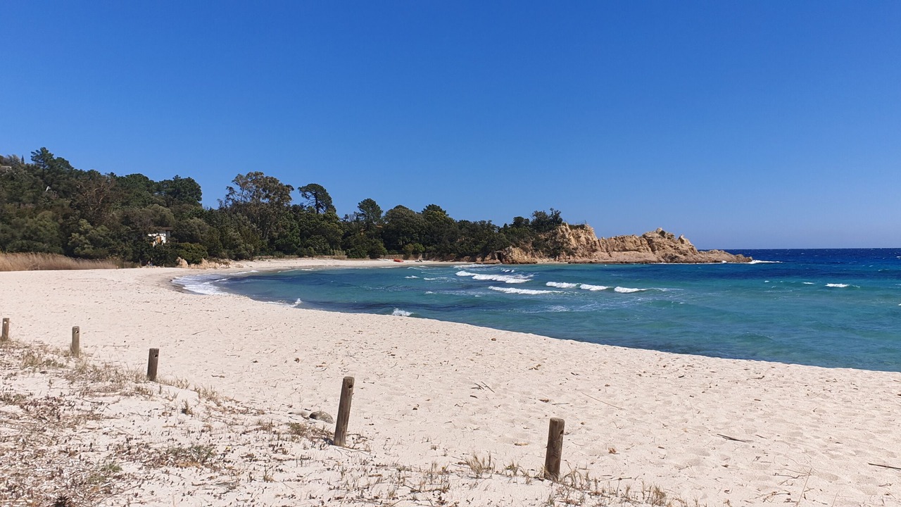 Photo of Others in Sari-Solenzara