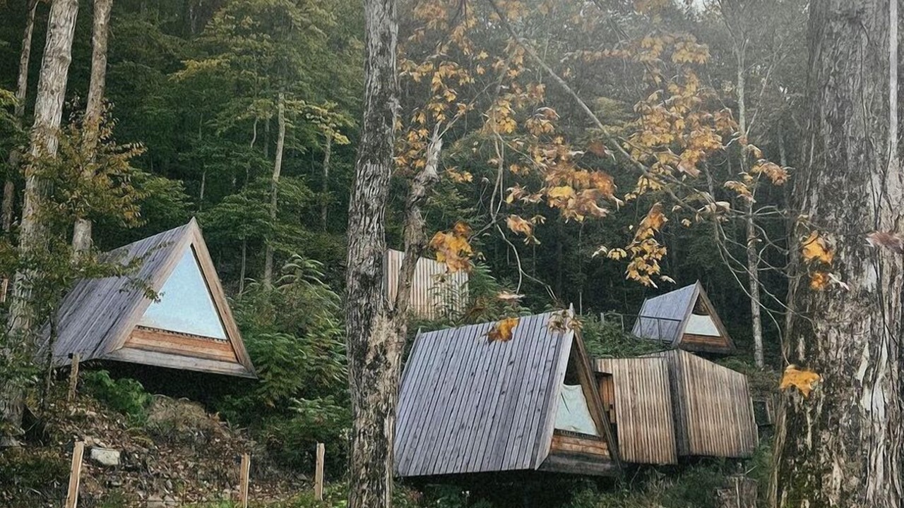 Photo of Patio Balcony in Oliverea