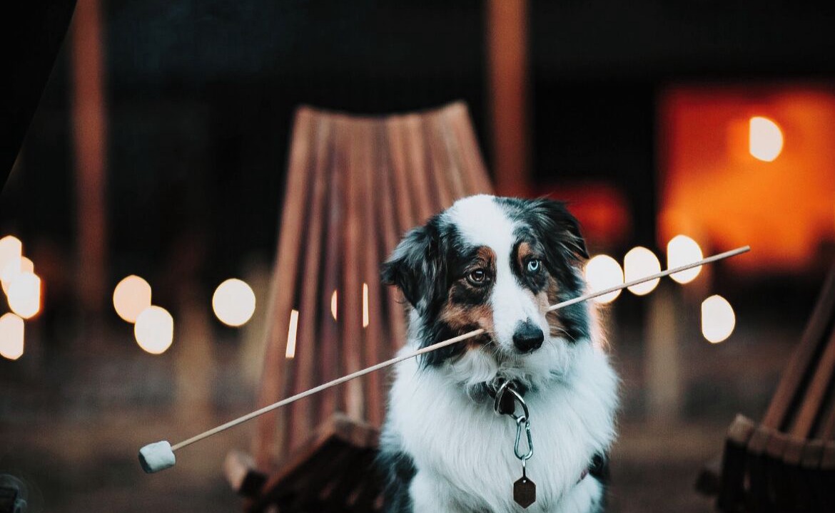 Photo of Others in Oliverea