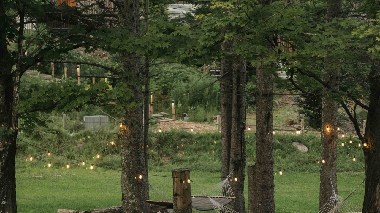 Photo of Outdoor in Oliverea