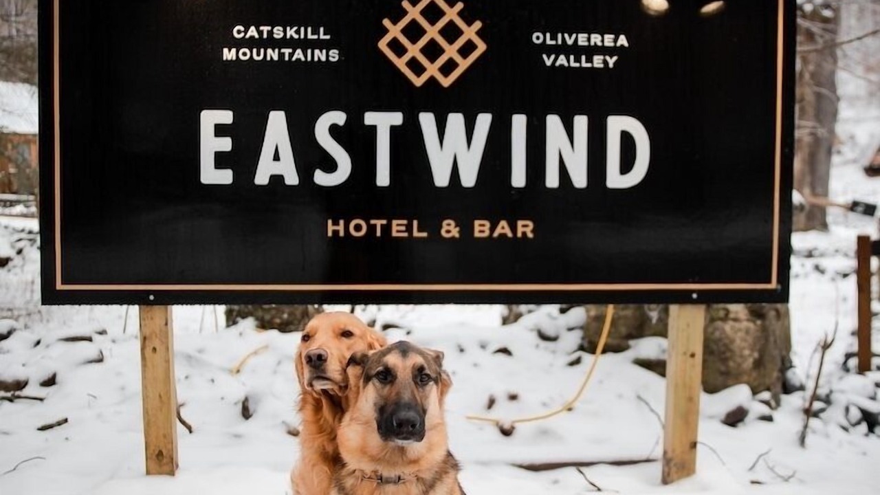 Photo of Others in Oliverea