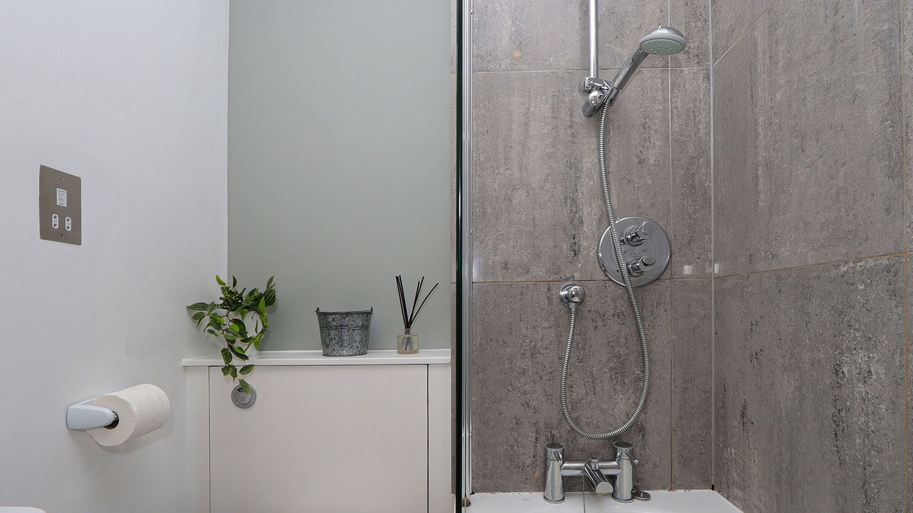 Photo of Others in Tufnell Park