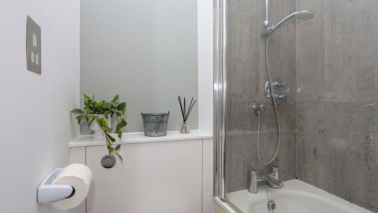 Photo of Others in Tufnell Park