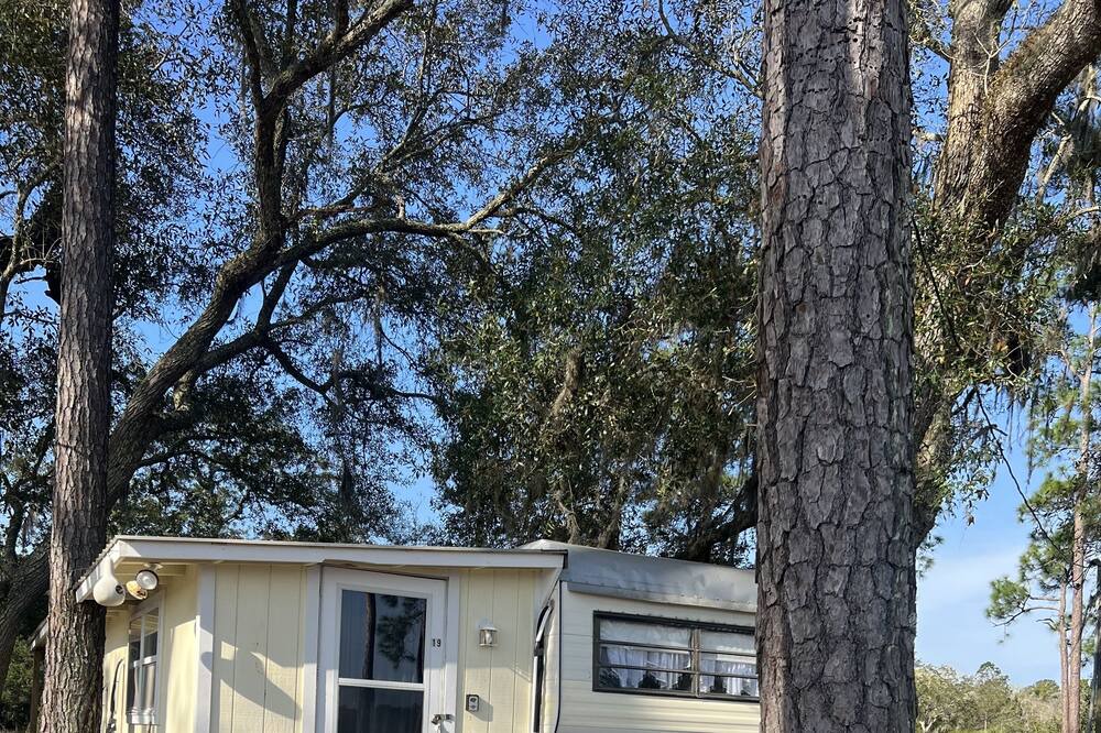 Photo of Outdoor in Townsend