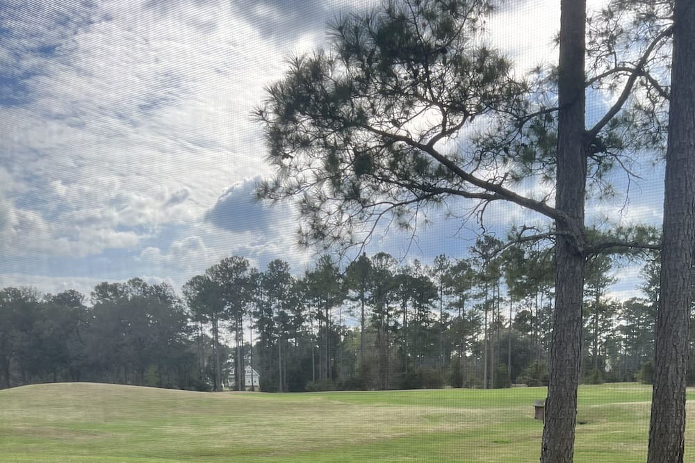 Photo of Others in Shellman Bluff