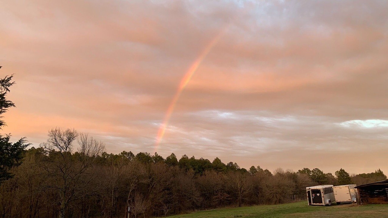 Photo of Others in Summerfield