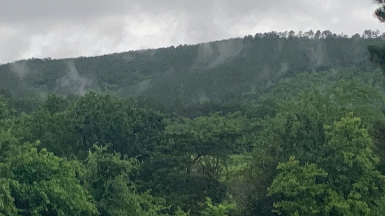 Photo of Others in Summerfield