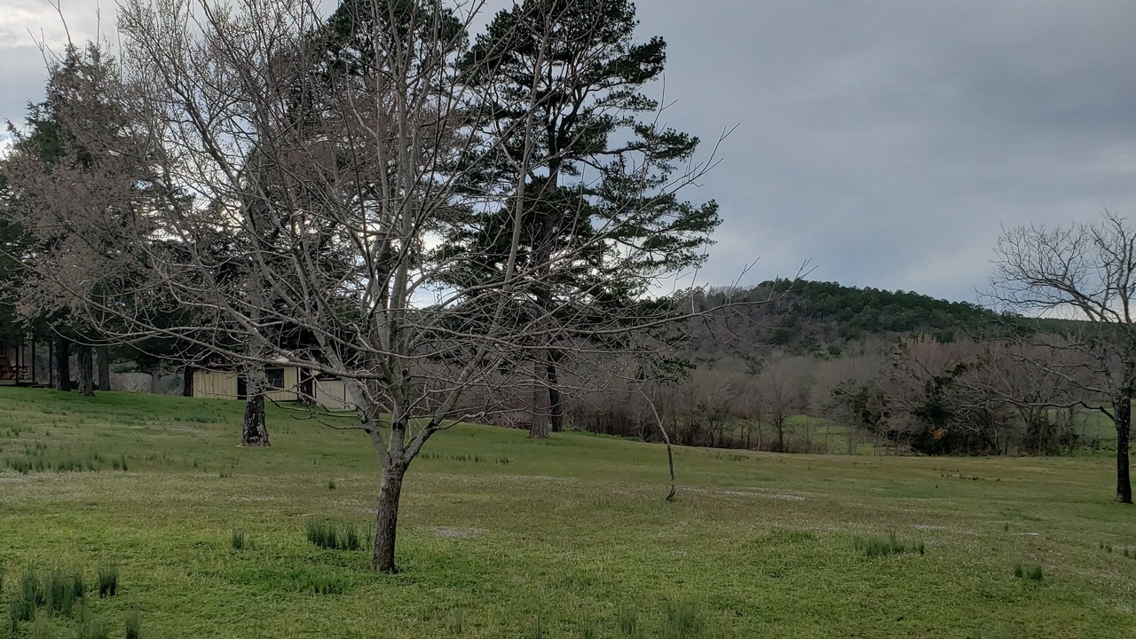 Photo of Outdoor in Summerfield