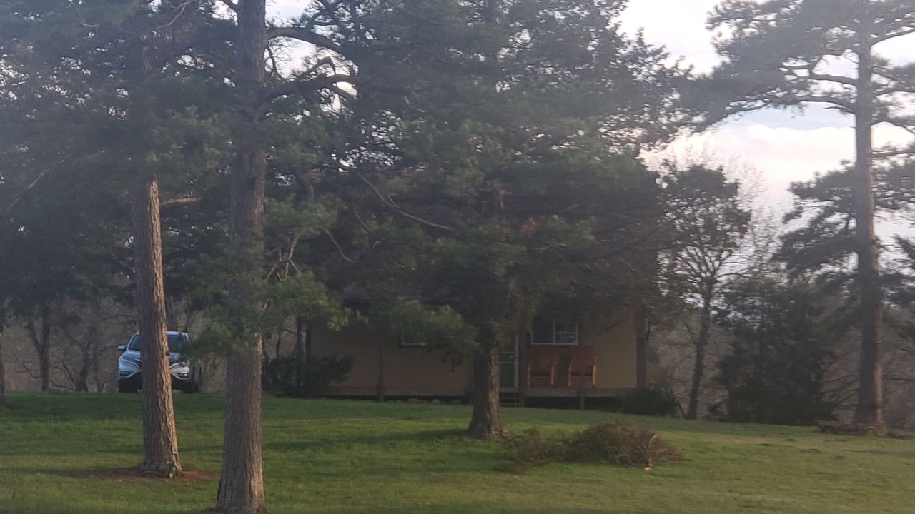 Photo of Others in Summerfield