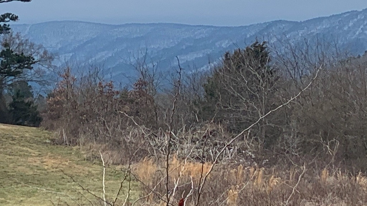 Photo of Others in Summerfield