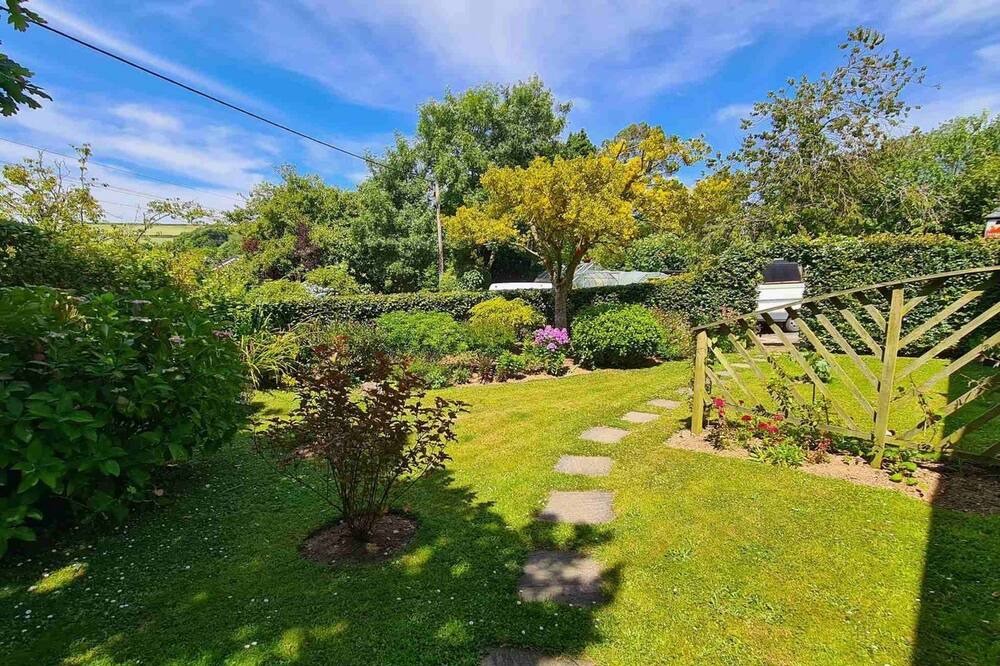 Photo of Outdoor in St. Tudy