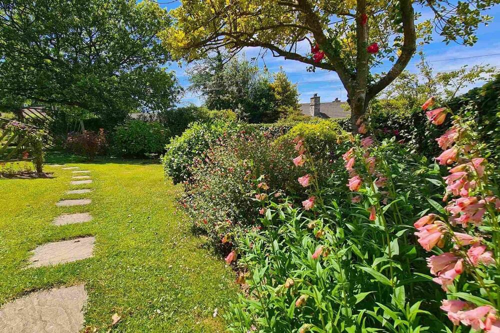 Photo of Outdoor in St. Tudy