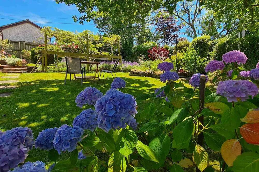 Photo of Outdoor in St. Tudy