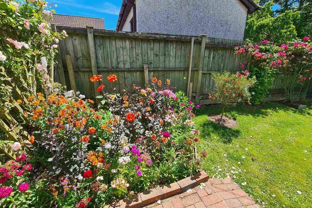 Photo of Outdoor in St. Tudy