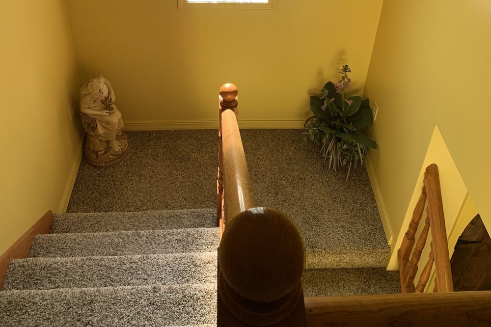 Photo of Others in Mammoth Spring