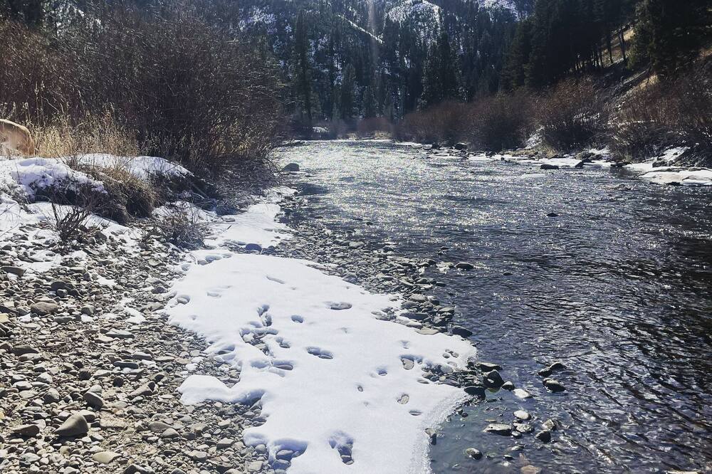 Photo of Others in Conner