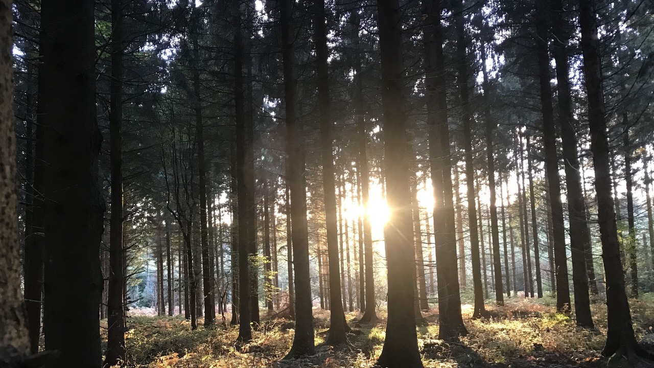 Photo of Others in Much Birch