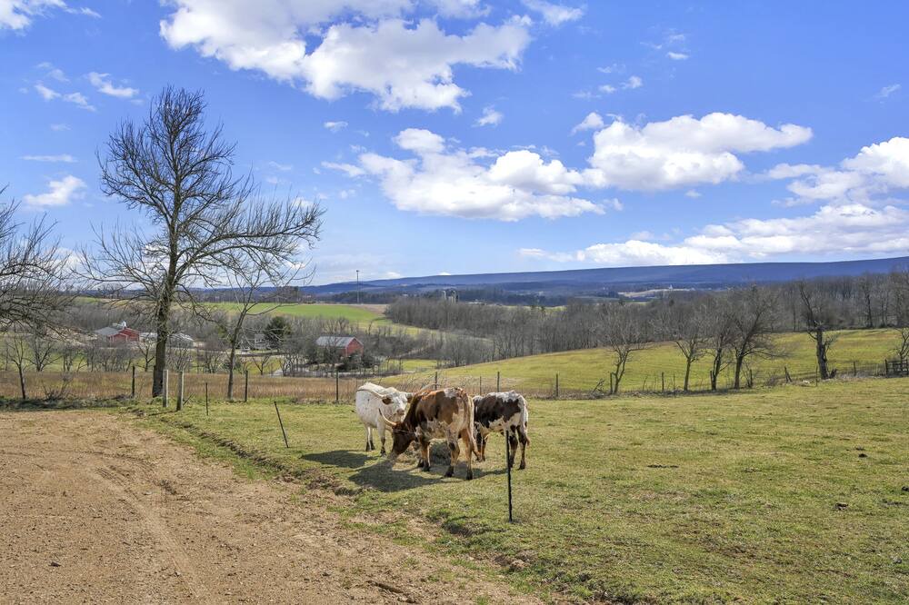 Photo of Outdoor in Pine Grove