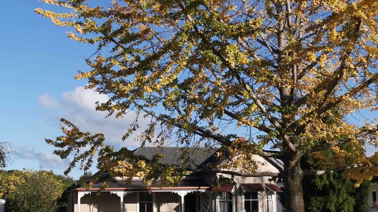 Photo of Outdoor in Cambridge