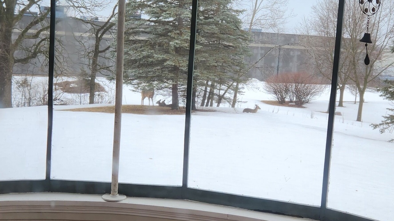 Photo of Outdoor in Menomonie